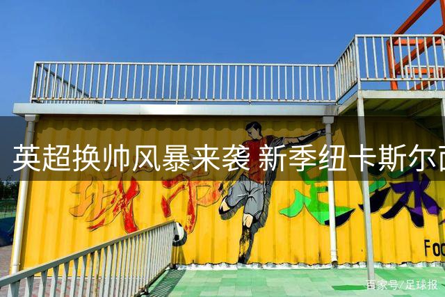 英超换帅风暴来袭 新季纽卡斯尔面临保级危机